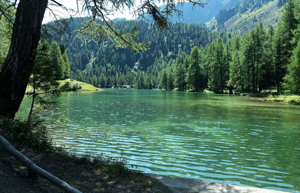 Отель Sonnenhof Preda Экстерьер фото