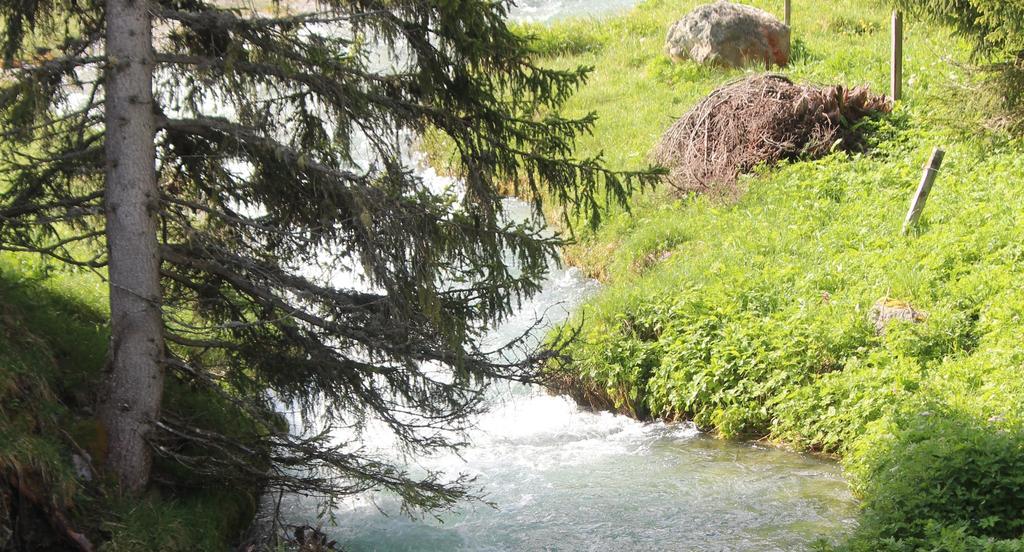 Отель Sonnenhof Preda Экстерьер фото