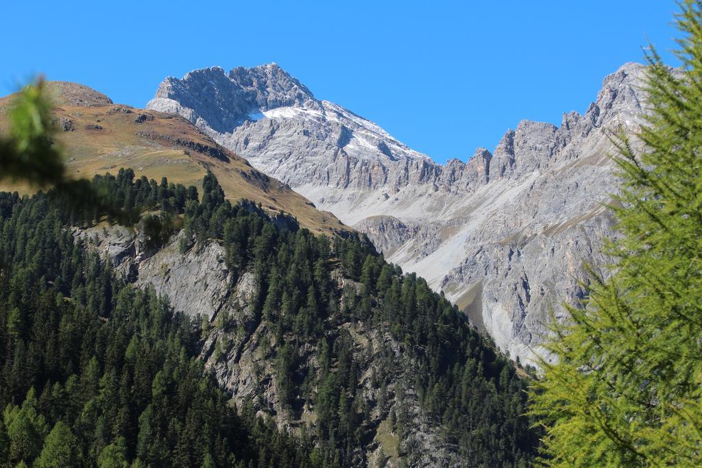 Отель Sonnenhof Preda Экстерьер фото