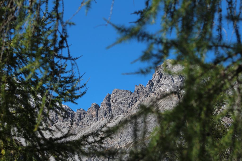 Отель Sonnenhof Preda Экстерьер фото